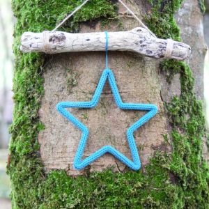 Star and Driftwood Star(s)