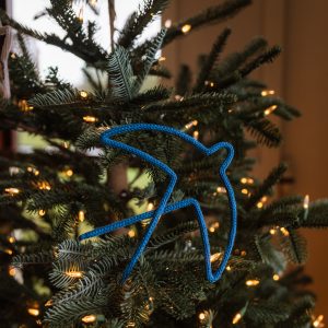 New ✨️ Swallow Collection